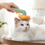 cat brush