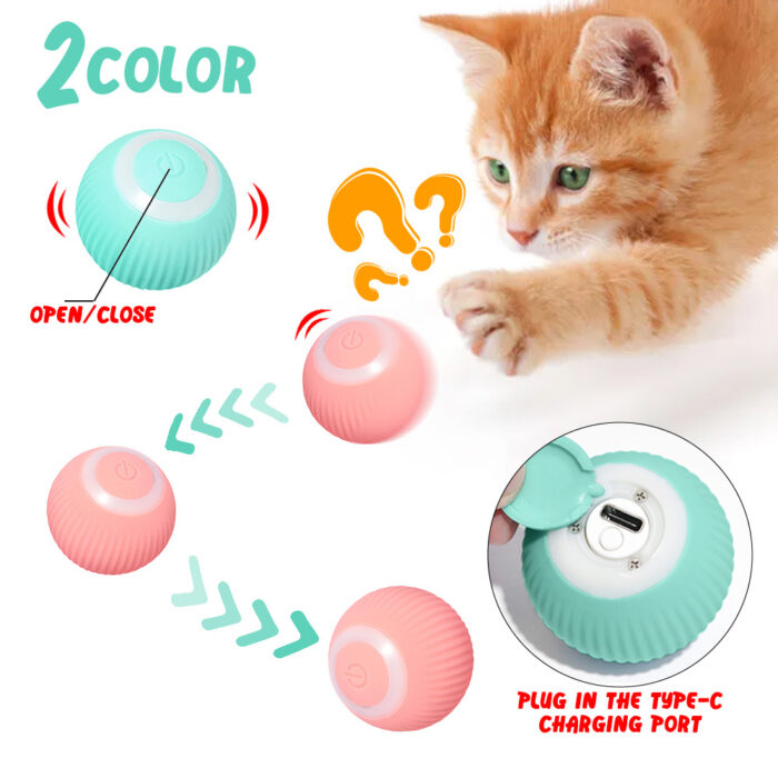 magic ball for pets