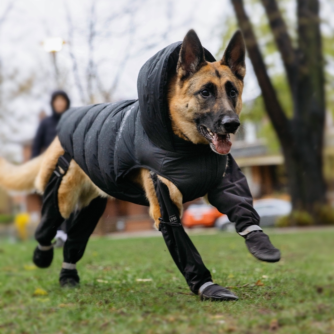 dog waterproof shoes